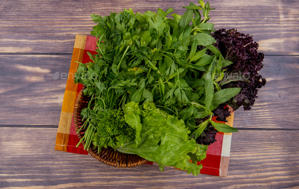 top view of green vegetables as coriander mint lettuce basil in